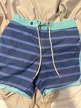 Chubbies Men's Blue Striped Shorts with Mint Waistband